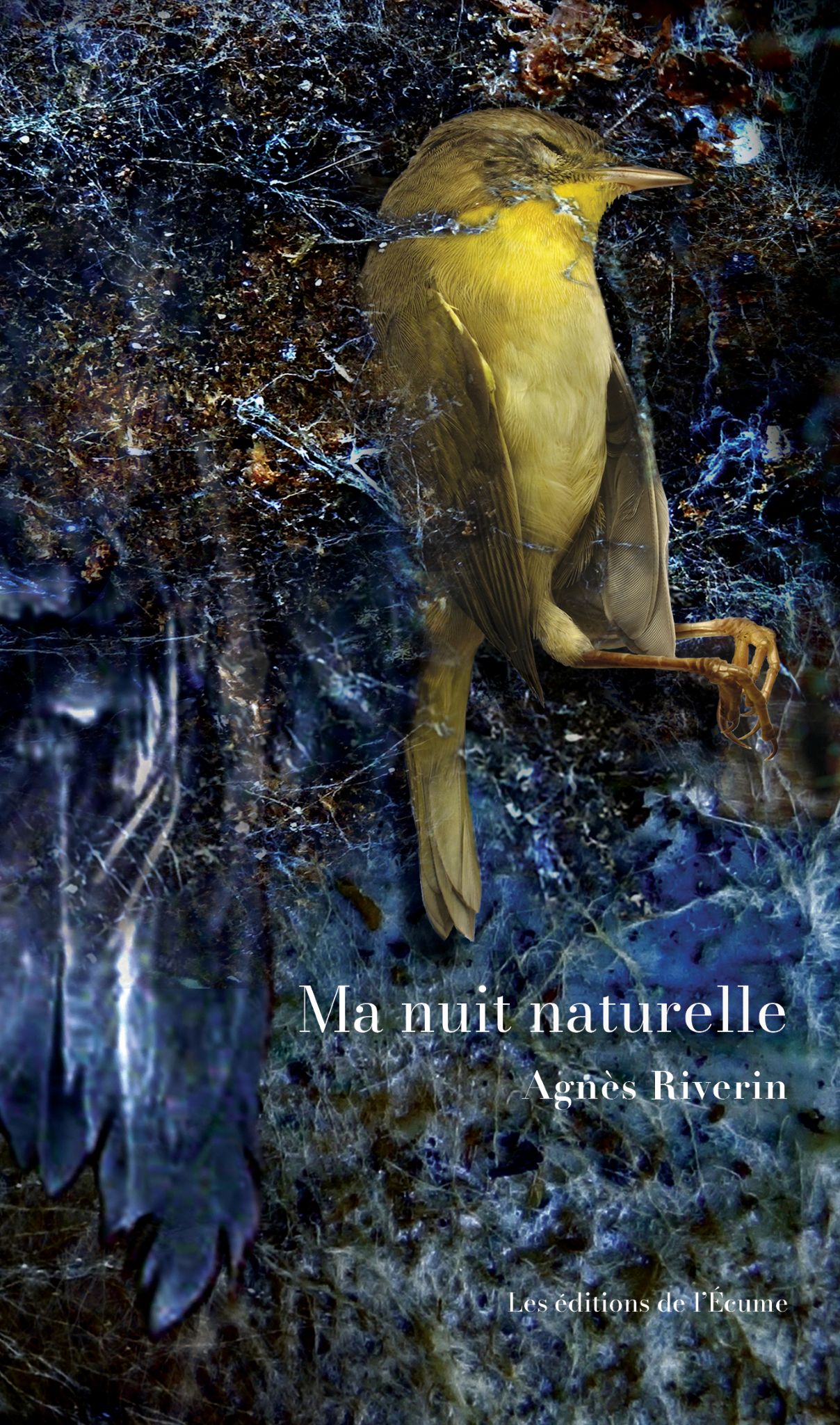 Couverture La forêt dans ton cou